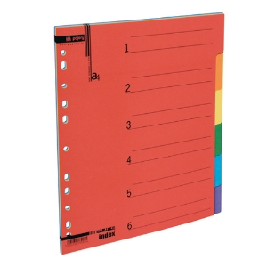 Picture of SEPARADOR CARTOLINA A4 6 POSIÇOES PAJORY CORES FORTES
