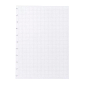 Picture of CADERNO INTELIGENTE - FOLHAS XADREZ GRANDE A4 90GR
